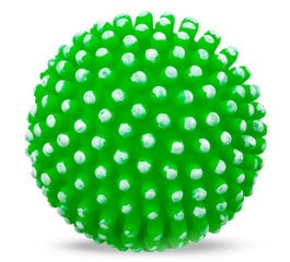 Мяч Для Собаки цена и информация | Игрушки для собак | hansapost.ee