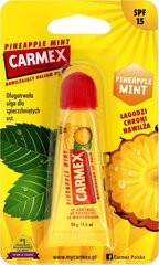 Kaitsev huulepalsam Carmex Pineapple Mint, 10 g hind ja info | Huulekosmeetika | hansapost.ee