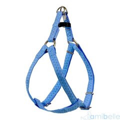 Кожаные подтяжки Amibelle Mac, 25 см, синие цена и информация | Ошейники, подтяжки для собак | hansapost.ee