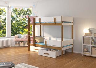 Двухъярусная кровать ADRK Furniture Etiona 80x180 см, коричневая/белая цена и информация | Детские кровати | hansapost.ee