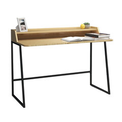 Письменный стол HELENA, 120x60xH88 см, светлый дуб цена и информация | Компьютерные, письменные столы | hansapost.ee