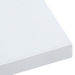 Столешница ERGO 160x80 см, серо-белая цена и информация | Столешницы | hansapost.ee