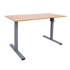 Письменный стол ERGO OPTIMAL с 1 мотором 120x60 см, дуб цена и информация | Компьютерные, письменные столы | hansapost.ee