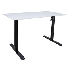 Töölaud ERGO OPTIMAL 1-mootoriga 120x60cm, valge price and information | Computer desks, writing desks | hansapost.ee