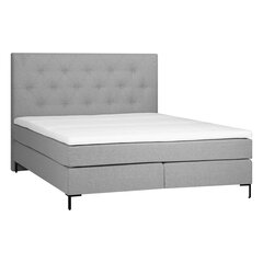 Bed LEONI 160x200cm, grey цена и информация | Кровати | hansapost.ee