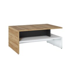 Coffee table SALINAS 100x66xH46cm цена и информация | Журнальные столики | hansapost.ee