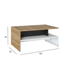 Coffee table SALINAS 100x66xH46cm цена и информация | Журнальные столики | hansapost.ee