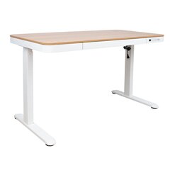 Töölaud ERGO 1-mootoriga 120x60xH72-121cm, valge/tamm hind ja info | Arvutilauad, kirjutuslauad | hansapost.ee