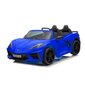 Electric Ride On Car Corvette Stingray TR2203 Blue цена и информация | Laste elektriautod | hansapost.ee