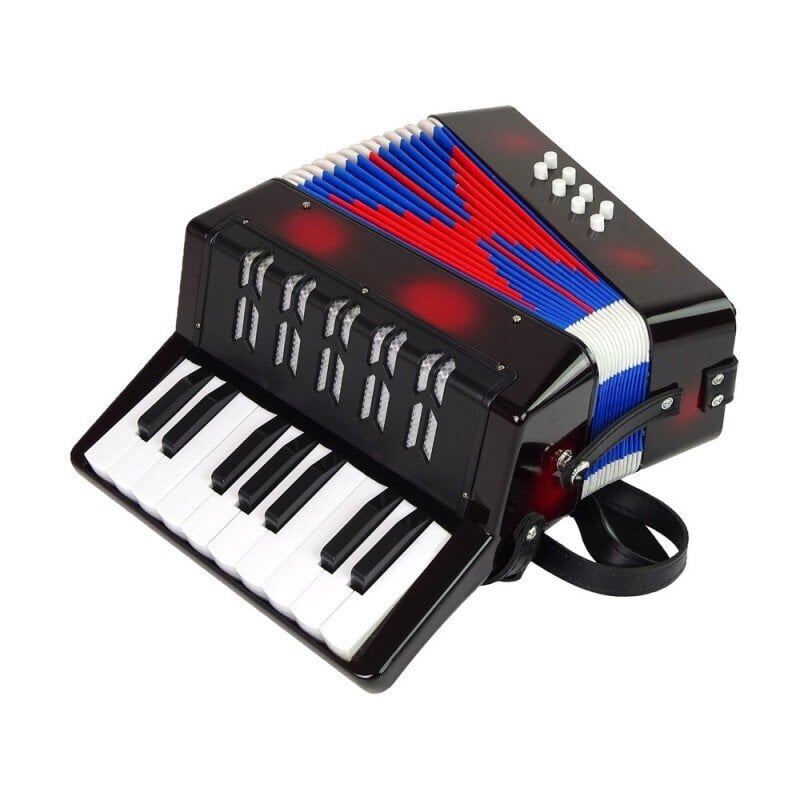 Accordion Musical Instrument for Kids Music Black hind ja info | Arendavad laste mänguasjad | hansapost.ee