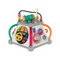 Multifunctional cube for a baby цена и информация | Beebide mänguasjad | hansapost.ee
