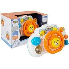 Educational Orange Steering Wheel for Baby hind ja info | Beebide mänguasjad | hansapost.ee