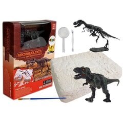 Dinosaur Tyrannosaurus Rex Excavation Set цена и информация | Игрушки для мальчиков | hansapost.ee