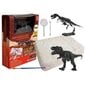 Dinosaur Tyrannosaurus Rex Excavation Set цена и информация | Mänguasjad poistele | hansapost.ee