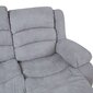 Diivan MALINA 2-kohaline manuaalne recliner, helehall цена и информация | Tugitoolid | hansapost.ee