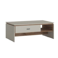 Diivanilaud RIVERO 110x64xH43cm, tamm/hall price and information | Coffee tables | hansapost.ee