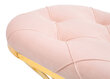 Esikupink Pink Zig, roosa цена и информация | Jalatsikapid, jalatsiriiulid | hansapost.ee