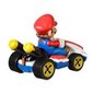 Mario Kart automudel Mario Hot Wheels hind ja info | Mänguasjad poistele | hansapost.ee