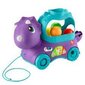 Fisher Price mänguasi dinosaurus цена и информация | Beebide mänguasjad | hansapost.ee