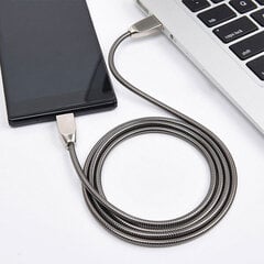 Кабель Somostel USB 10W BJ01, 1 м цена и информация | Кабели и провода | hansapost.ee