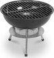 Grill Fieldmann FZG 1102G, Ø34x28 cm цена и информация | Grillid | hansapost.ee