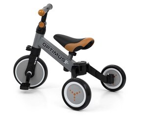 Трехколесный велосипед Milly Mally, серый цена и информация | Milly Mally Товары для детей и младенцев | hansapost.ee