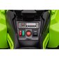 Ühekordne elektriline roller GTS1199, roheline цена и информация | Laste elektriautod | hansapost.ee