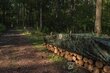 Kamuflaaž välipresent kate Bradas CAMOforest 6x8 m, 90 g/m² цена и информация | Aiatööriistad | hansapost.ee