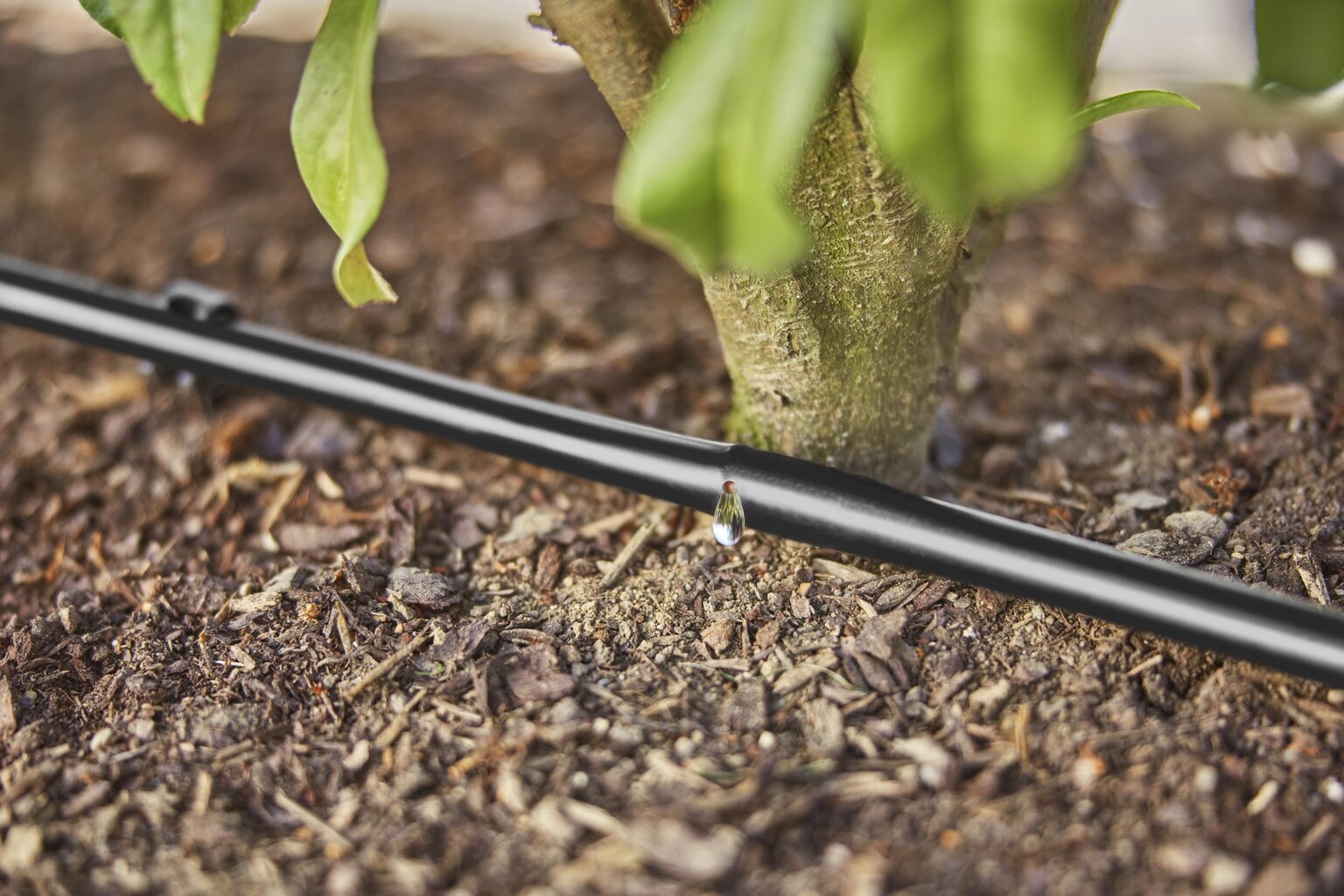 Tilkkastmissüsteem põõsastele/hekkidele Gardena Micro-Drip-Irrigation, 25 m цена и информация | Niisutussüsteemid, kastmisvoolikud ja kastekannud | hansapost.ee