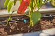 Tilkniisutussüsteem kuni 30 taimele Gardena Micro-Drip-System hind ja info | Niisutussüsteemid, kastmisvoolikud ja kastekannud | hansapost.ee