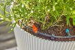 Tilkniisutussüsteem kuni 30 taimele Gardena Micro-Drip-System hind ja info | Niisutussüsteemid, kastmisvoolikud ja kastekannud | hansapost.ee