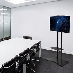 NewStar Mobile Flatscreen Floor Stand - (height: 155-170 cm) hind ja info | Teleri seinakinnitused ja hoidjad | hansapost.ee