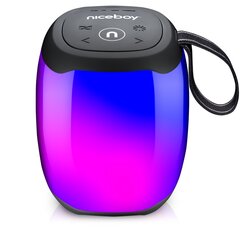 Niceboy RAZE Neon Bluetooth Беспроводная колонка / IPX6 / MP3 / Micro SD / USB цена и информация | Аудиоколонки | hansapost.ee