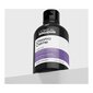 Šampoon L'Oreal Professionnel Paris Expert Chroma Creme Purple (300 ml) hind ja info | Šampoonid | hansapost.ee