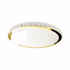 Milagro laevalgusti price and information | Ceiling lamps | hansapost.ee