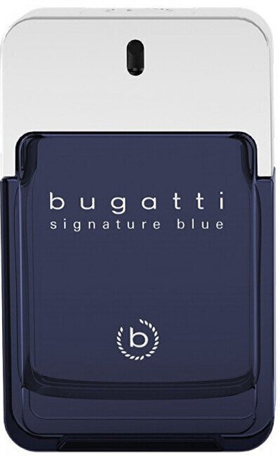 Parfüümvesi Bugatti Signature Blue, 100 ml цена и информация | Parfüümid meestele | hansapost.ee