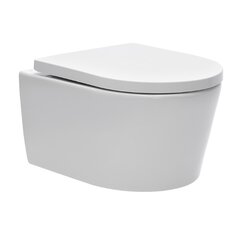 Peidetud WC-pott Swiss Aqua Technologies Brevis hind ja info | Swiss Aqua Remondikaubad, sanitaartehnika ja kütteseadmed | hansapost.ee