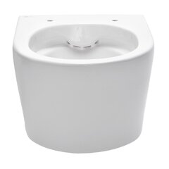Peidetud WC-pott Swiss Aqua Technologies Brevis hind ja info | Swiss Aqua Remondikaubad, sanitaartehnika ja kütteseadmed | hansapost.ee