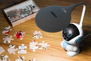 Офисная школьная лампа Робот Rebel цена и информация | Настольные лампы | hansapost.ee
