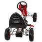 Pedaalidega kart Victoria Sport price and information | Mänguasjad poistele | hansapost.ee