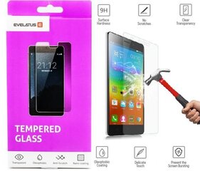 Kaitseklaas Evelatus    Sony    Xperia M4 Aqua Tempered glass hind ja info | Ekraani kaitseklaasid ja kaitsekiled | hansapost.ee