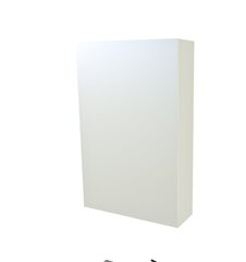 Подвесной шкафчик для ванной комнаты Scandic 46 см, белого цвета цена и информация | Kamė Мебель и домашний интерьер | hansapost.ee