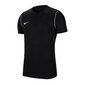 Poiste T-särk Nike Dri-Fit BV6905-010, must цена и информация | Särgid poistele | hansapost.ee