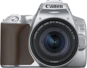 Canon EOS 250D + 18-55mm IS STM Kit, hõbedane hind ja info | Fotoaparaadid | hansapost.ee