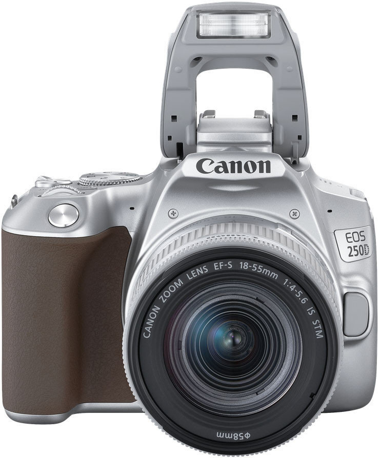 Canon EOS 250D + 18-55mm IS STM Kit, hõbedane цена и информация | Fotoaparaadid | hansapost.ee