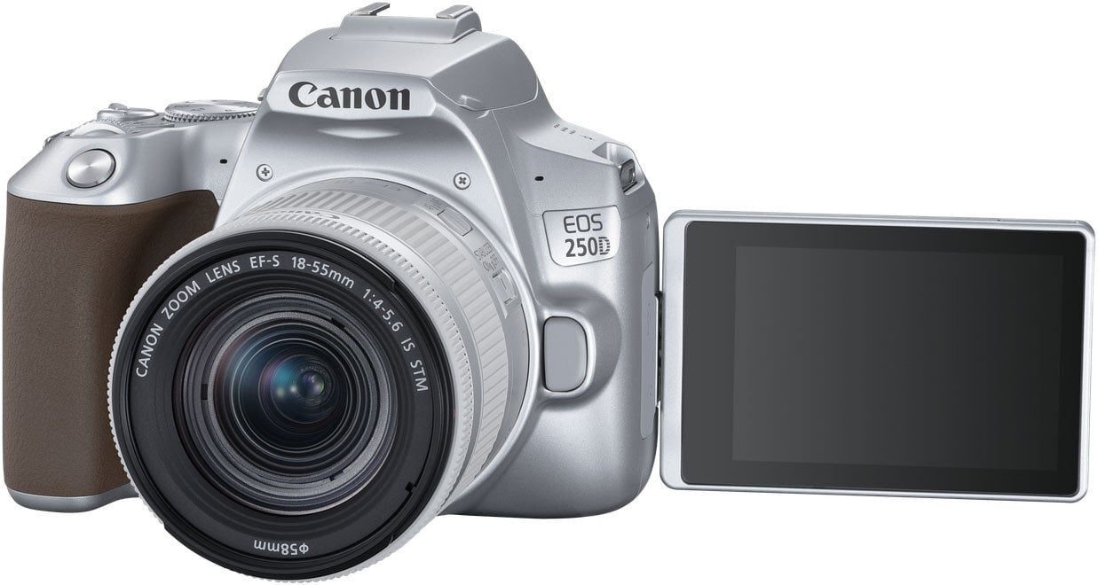 Canon EOS 250D + 18-55mm IS STM Kit, hõbedane цена и информация | Fotoaparaadid | hansapost.ee