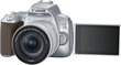 Canon EOS 250D + 18-55mm IS STM Kit, hõbedane hind ja info | Fotoaparaadid | hansapost.ee