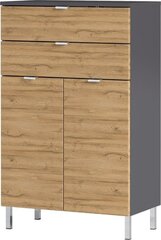 Шкафчик для ванной комнаты Mauresa, 60x34x97 см, коричневый / темно-серый цена и информация | Шкафчики для ванной | hansapost.ee