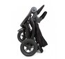 Graco sportlik jalutuskäru TrailRider, black hind ja info | Vankrid, jalutuskärud | hansapost.ee