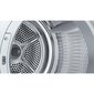 Bosch WTH85VL5SN цена и информация | Pesukuivatid | hansapost.ee